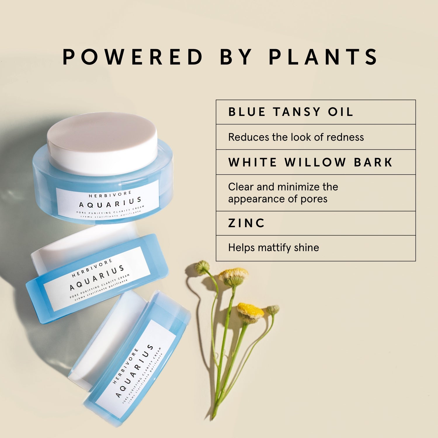 AQUARIUS Pore Purifying Clarity Cream | Herbivorebotanicalss
