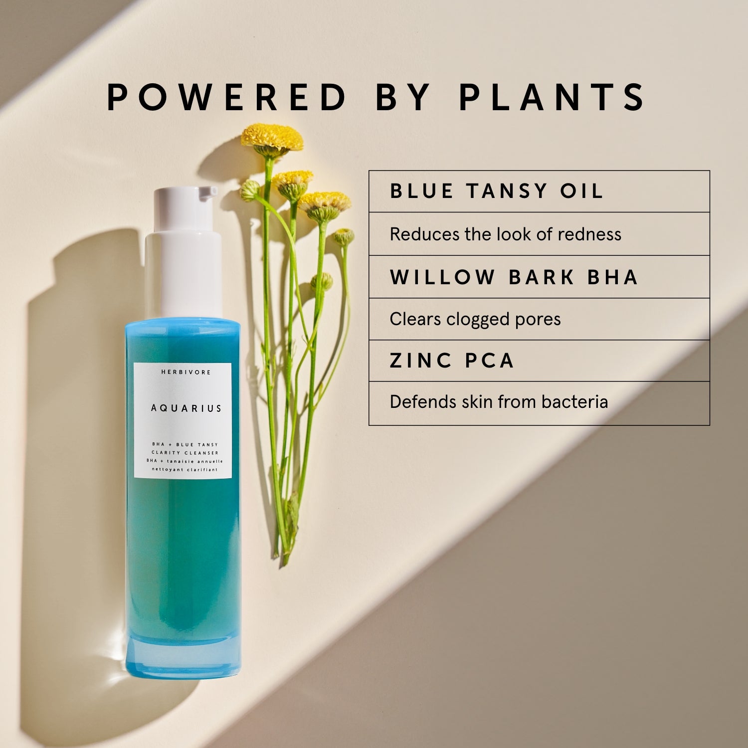 AQUARIUS BHA + Blue Tansy Clarity Cleanser | Herbivorebotanicalss