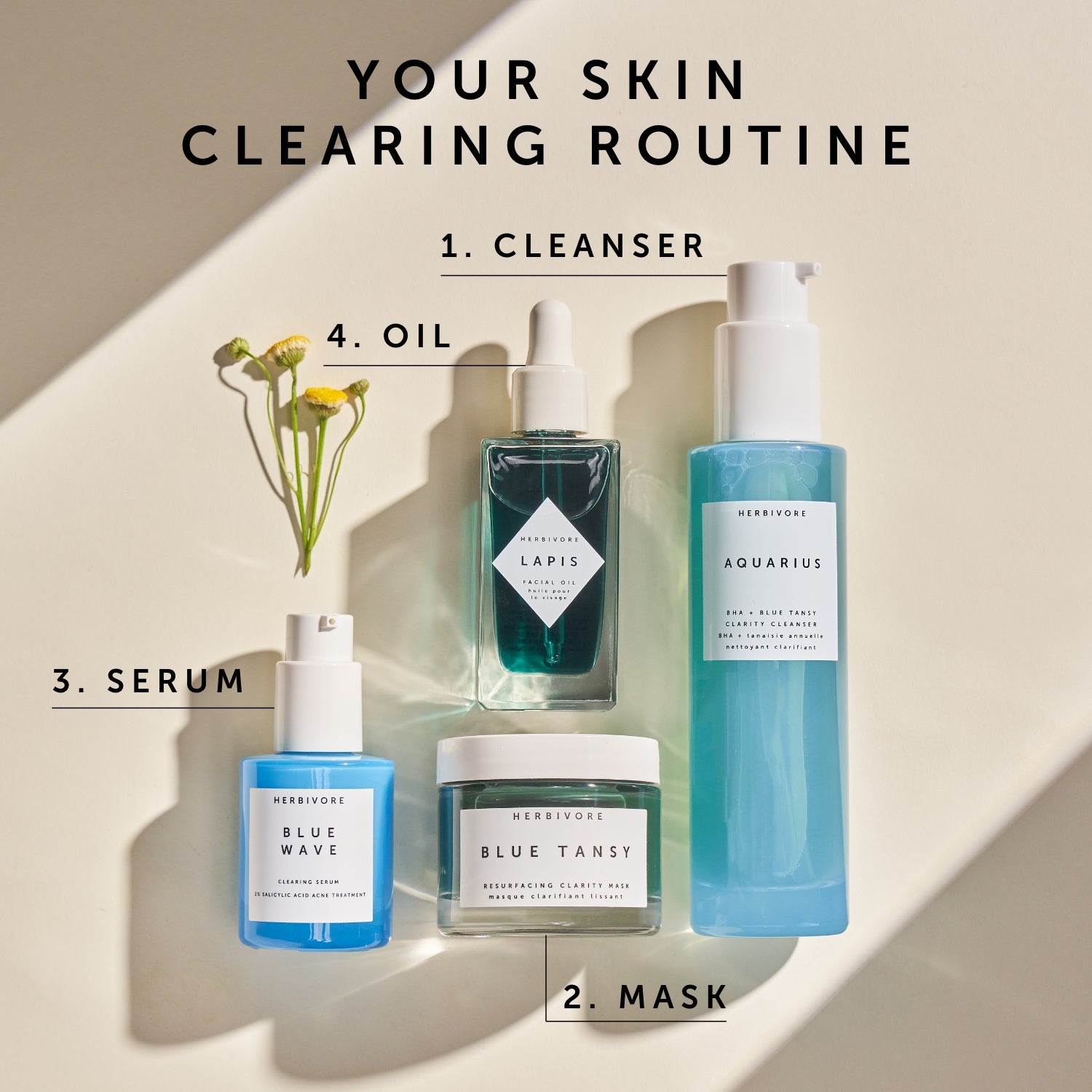 AQUARIUS BHA + Blue Tansy Clarity Cleanser | Herbivorebotanicalss