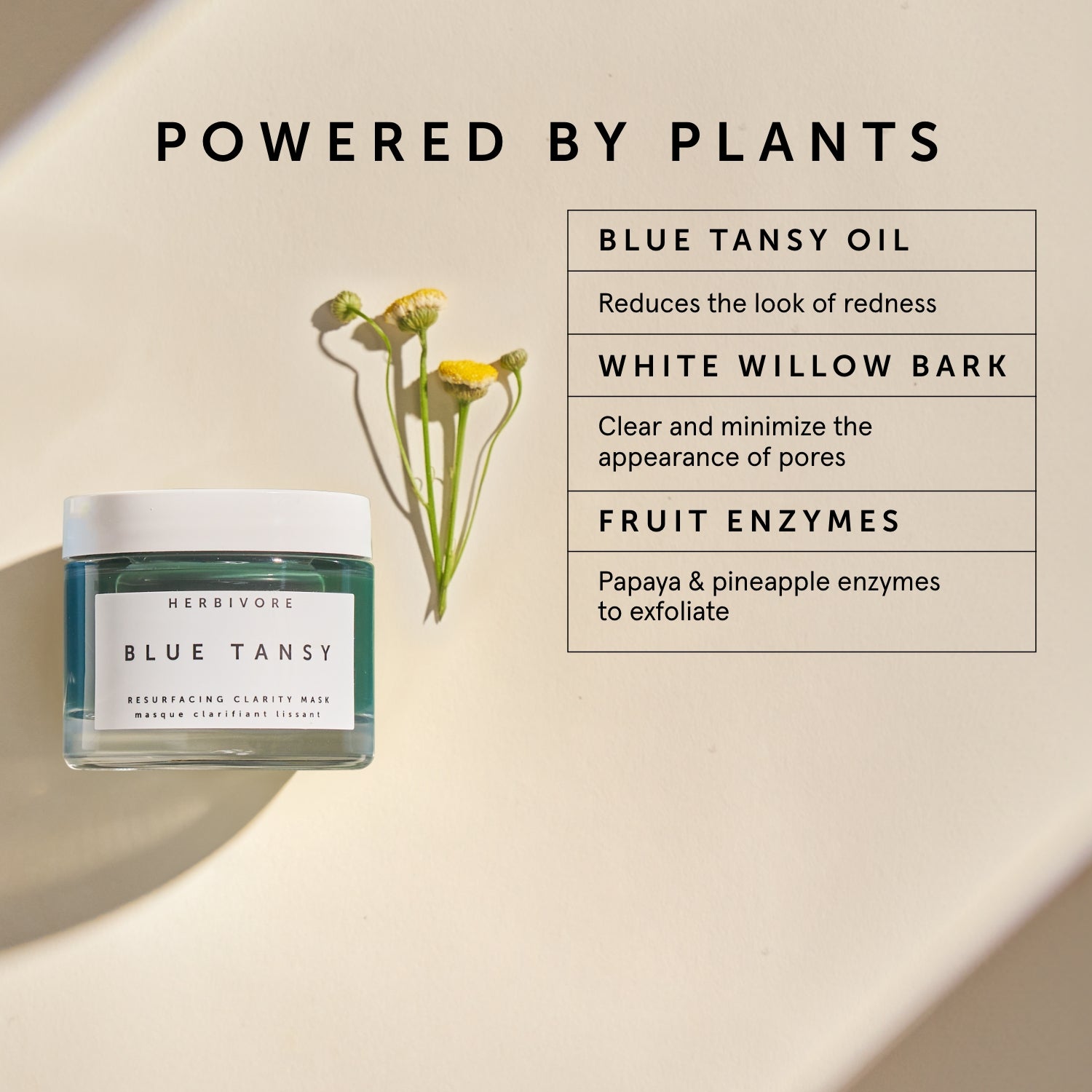 BLUE TANSY Invisible Pores Resurfacing Clarity Mask | Herbivorebotanicalss