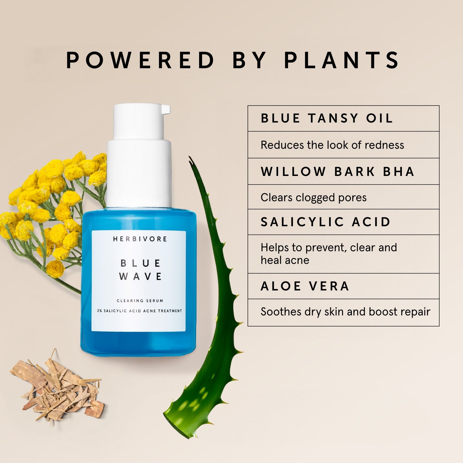 BLUE WAVE 2% Salicylic Acid Medicated Acne Clearing Serum | Herbivorebotanicalss