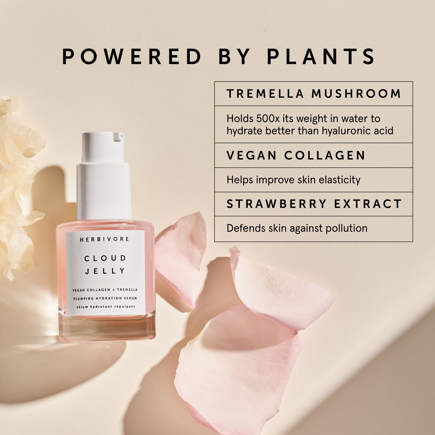 CLOUD JELLY Pink Plumping Hydration Serum | Herbivorebotanicalss