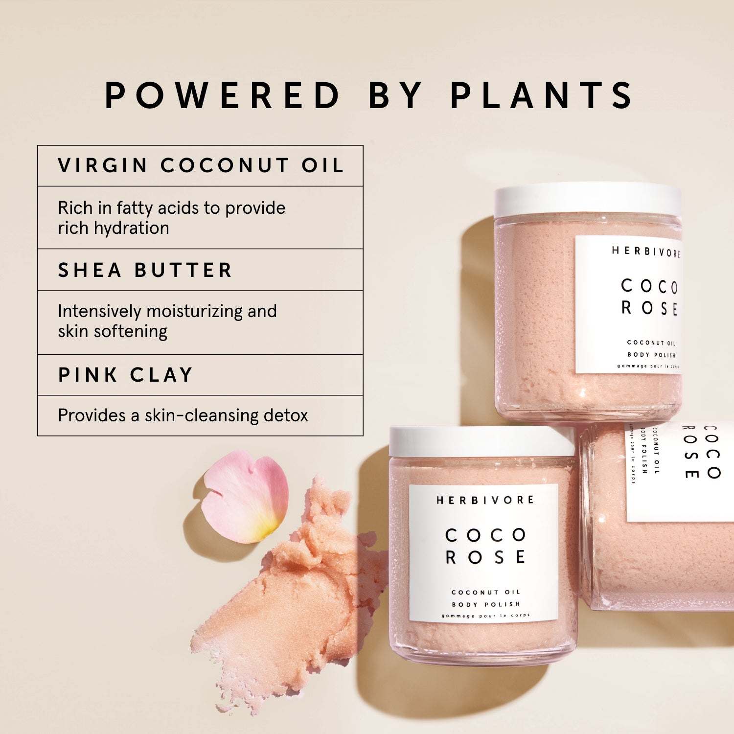 COCO ROSE Exfoliating Body Scrub | Herbivorebotanicalss