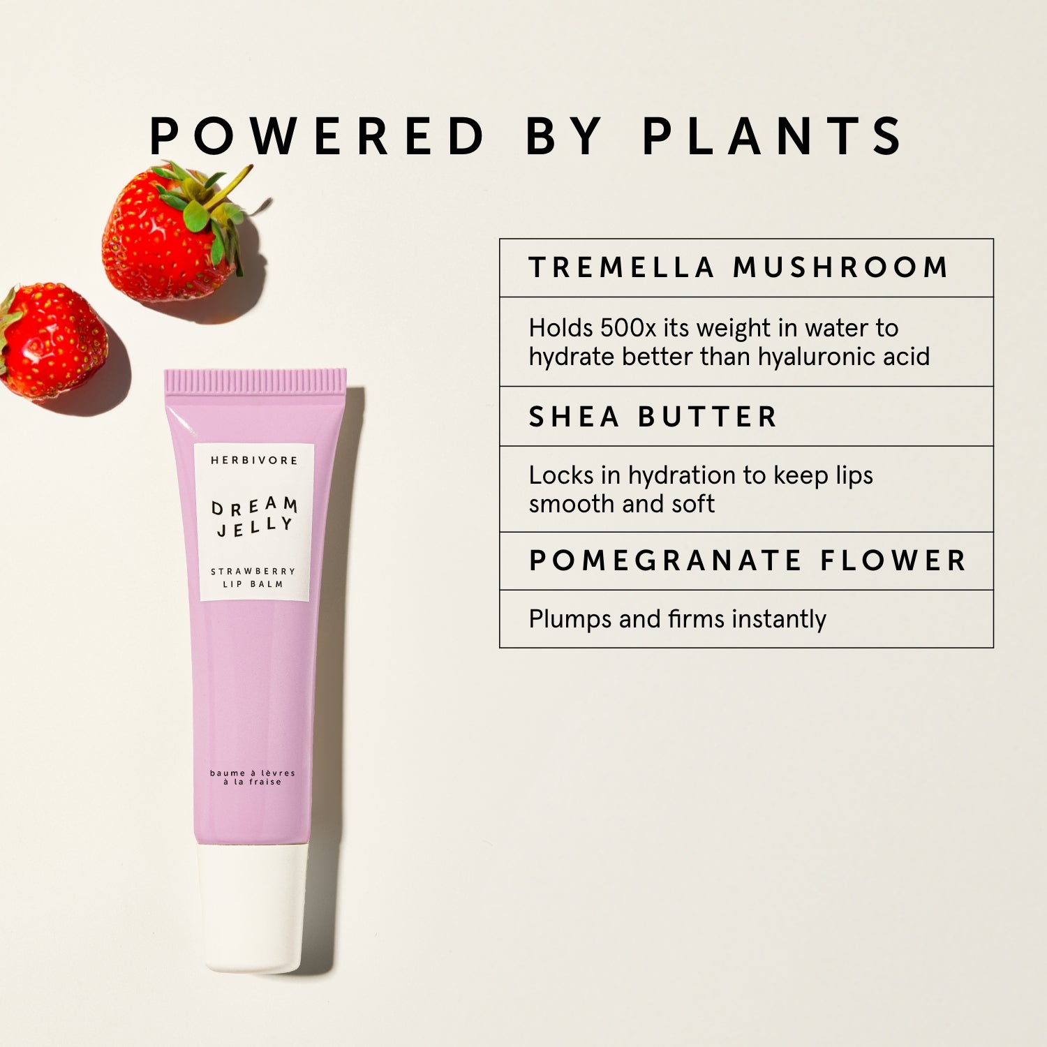 DREAM JELLY Strawberry Lip Balm | Herbivorebotanicalss
