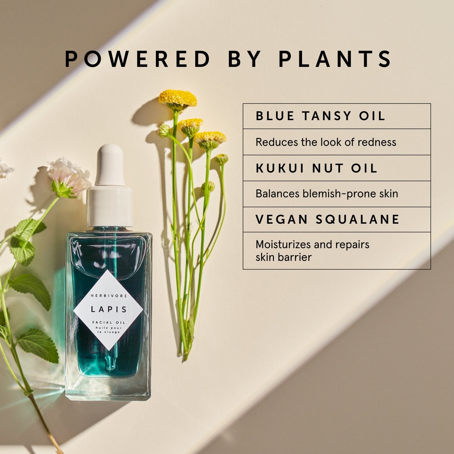 LAPIS Blue Tansy Face Oil - For Oily & Acne-Prone Skin | Herbivorebotanicalss
