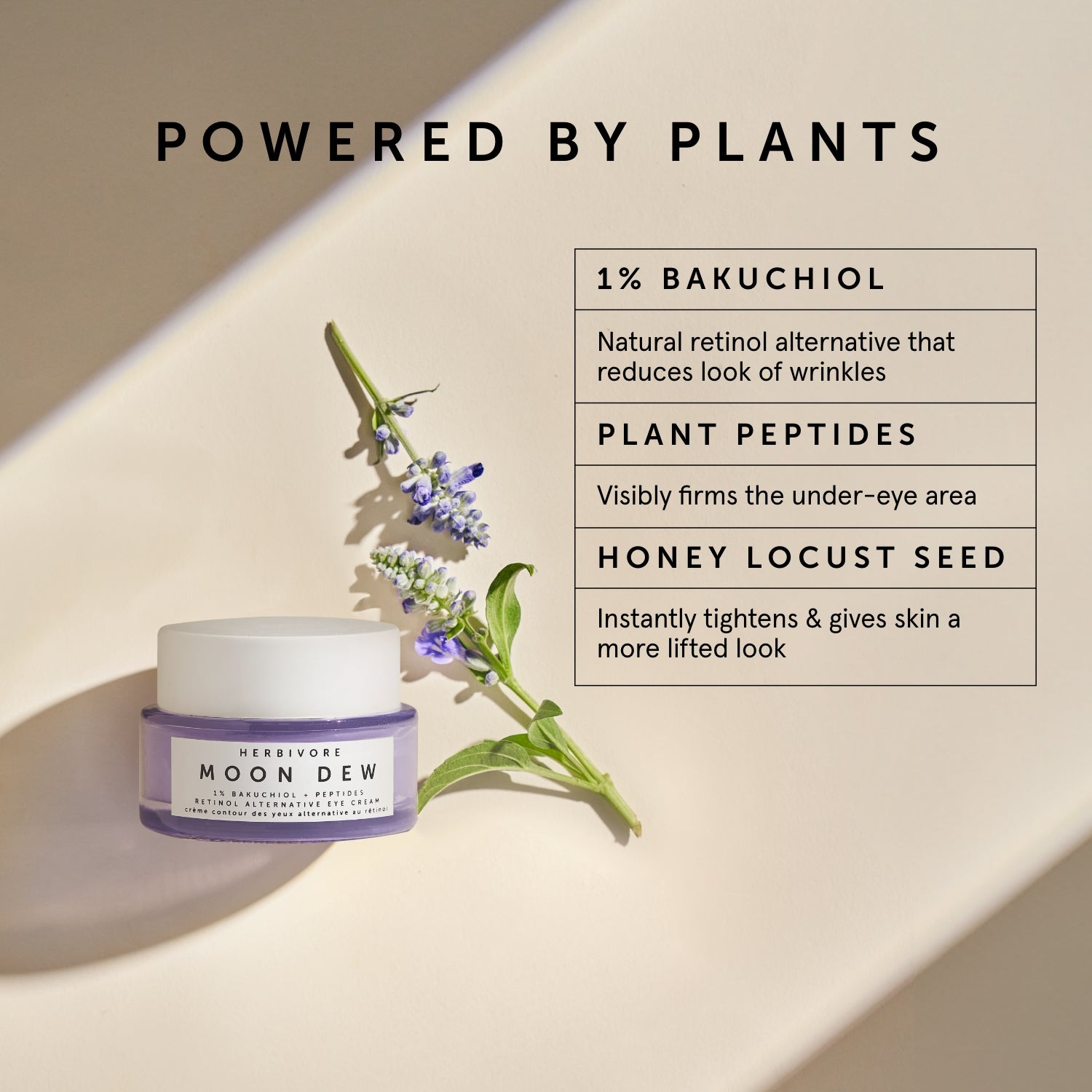 MOON DEW 1% Bakuchiol + Peptides Retinol Alternative Firming Eye Cream | Herbivorebotanicalss