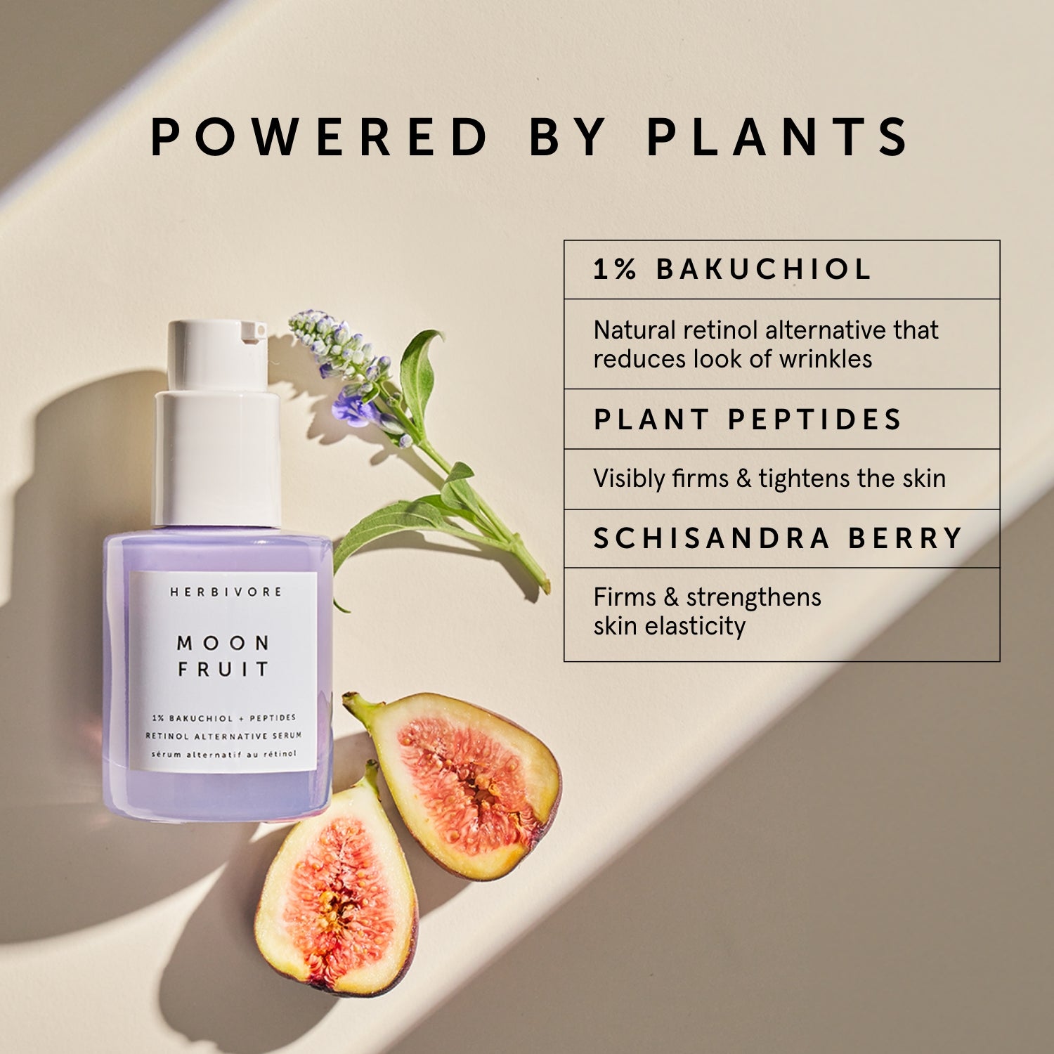 MOON FRUIT 1% Bakuchiol + Peptides Retinol Alternative Serum | Herbivorebotanicalss