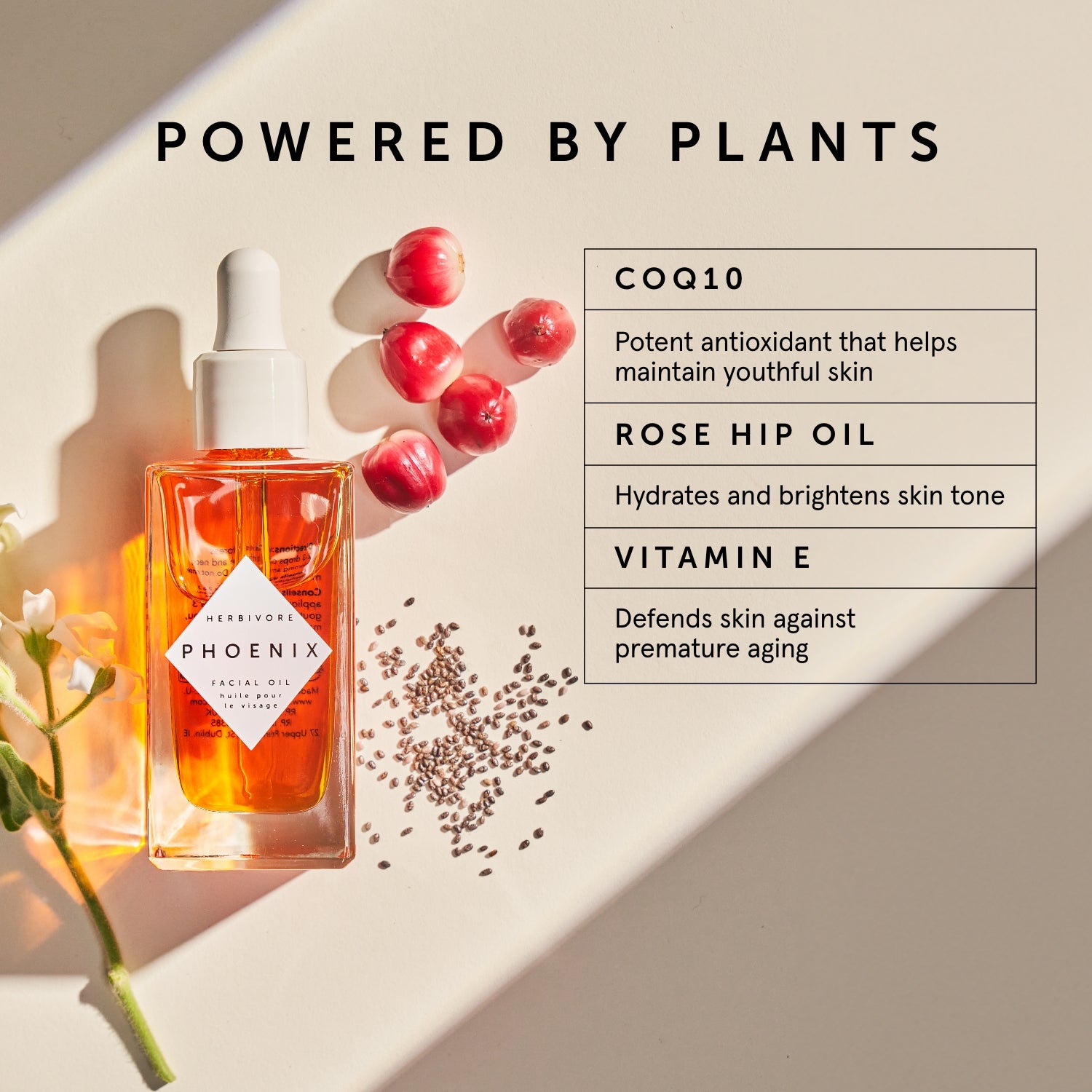 PHOENIX Rosehip Anti-Aging Face Oil - For Dry Skin | Herbivorebotanicalss