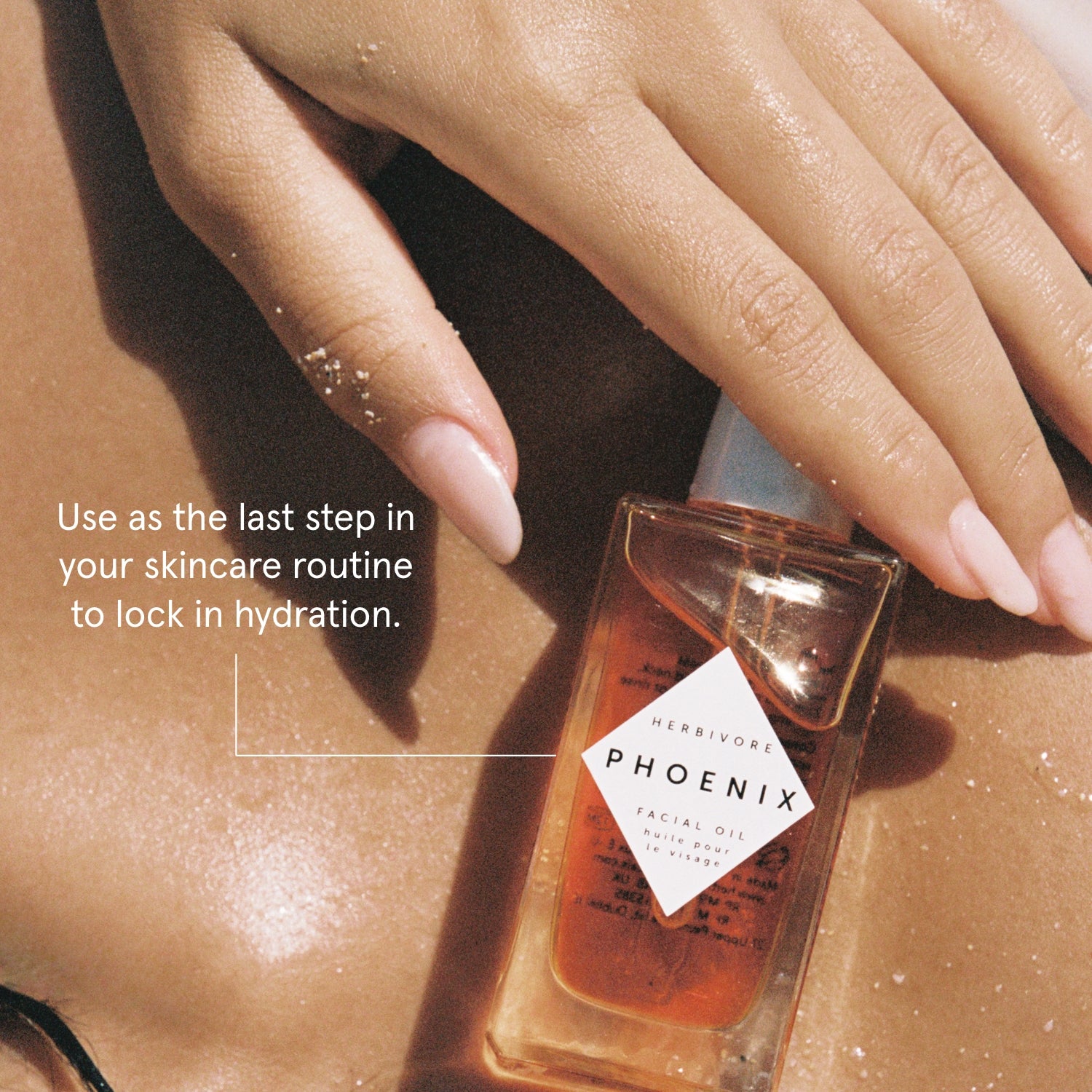 PHOENIX Rosehip Anti-Aging Face Oil - For Dry Skin | Herbivorebotanicalss