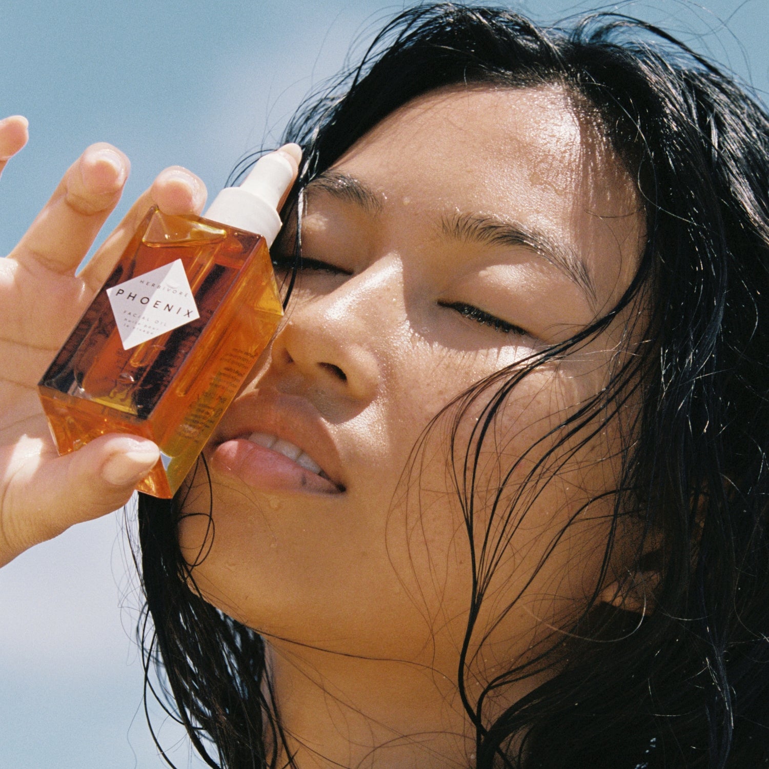 PHOENIX Rosehip Anti-Aging Face Oil - For Dry Skin | Herbivorebotanicalss