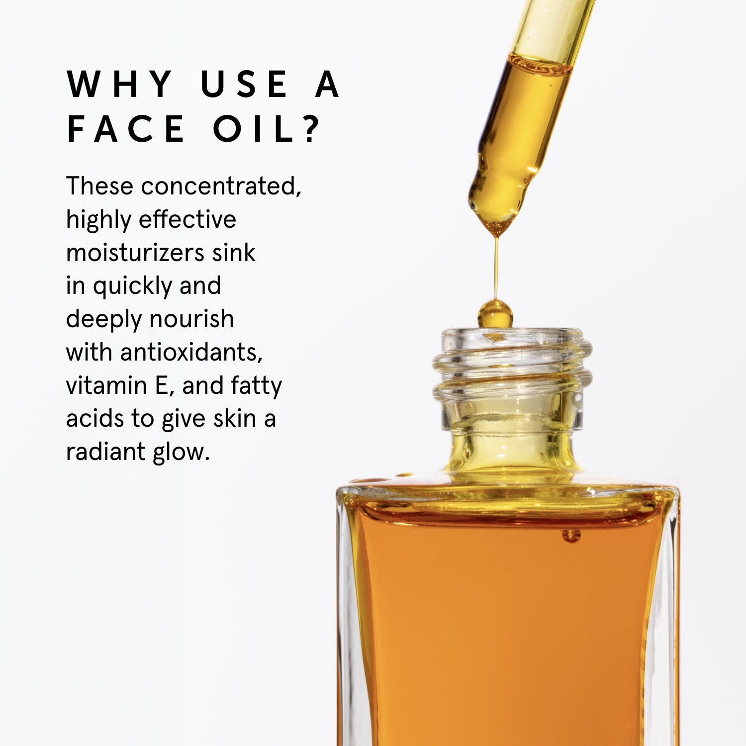 PHOENIX Rosehip Anti-Aging Face Oil - For Dry Skin | Herbivorebotanicalss