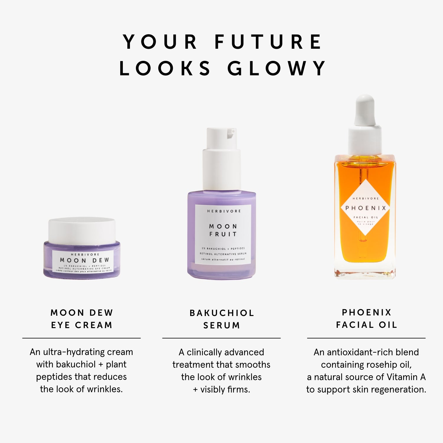 Renew & Replenish Set | Herbivorebotanicalss