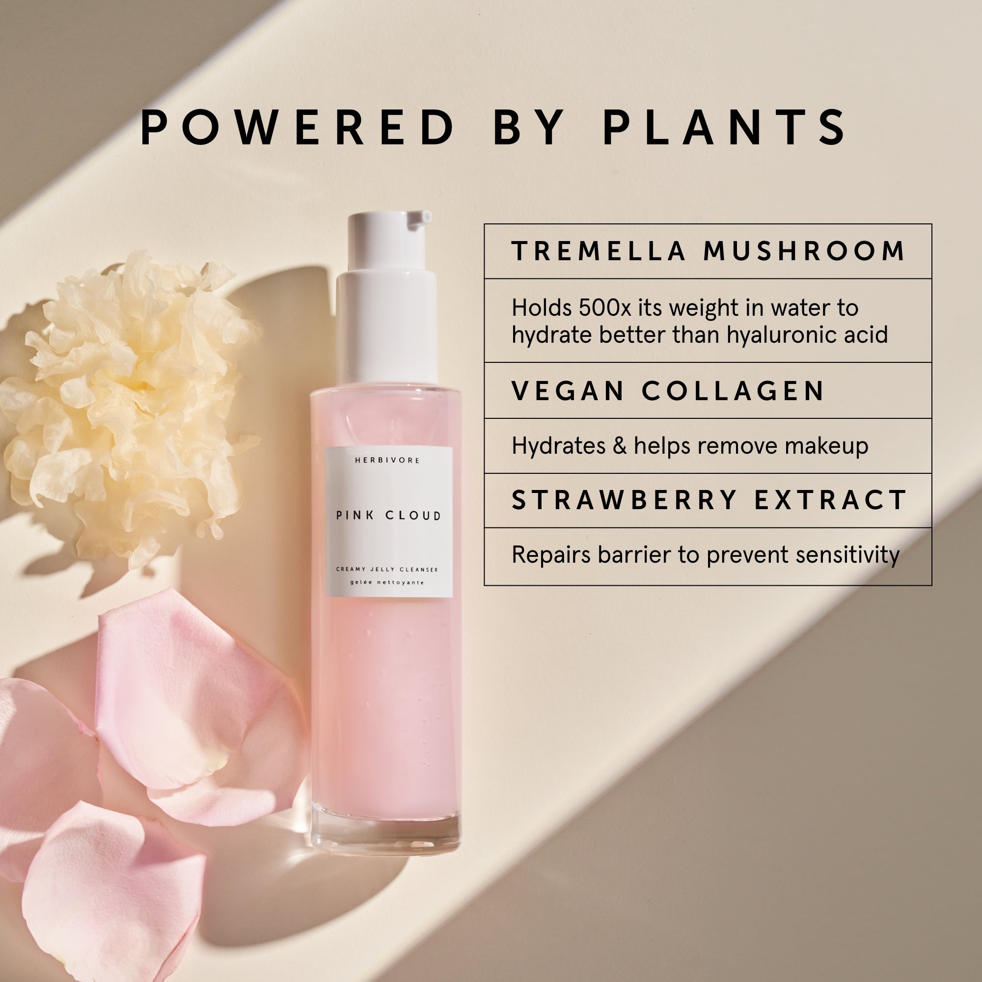 SKIN IN THE CLOUDS Plumping Hydration Set