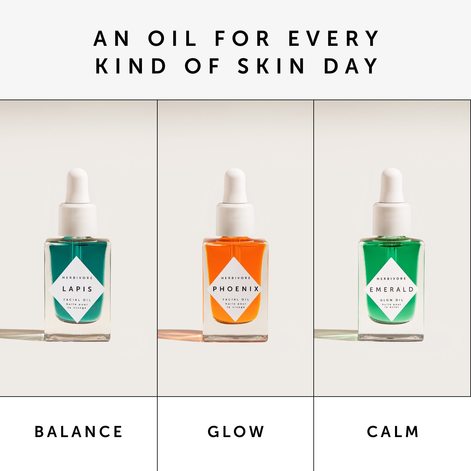 The Oil Discovery Set | Herbivorebotanicalss