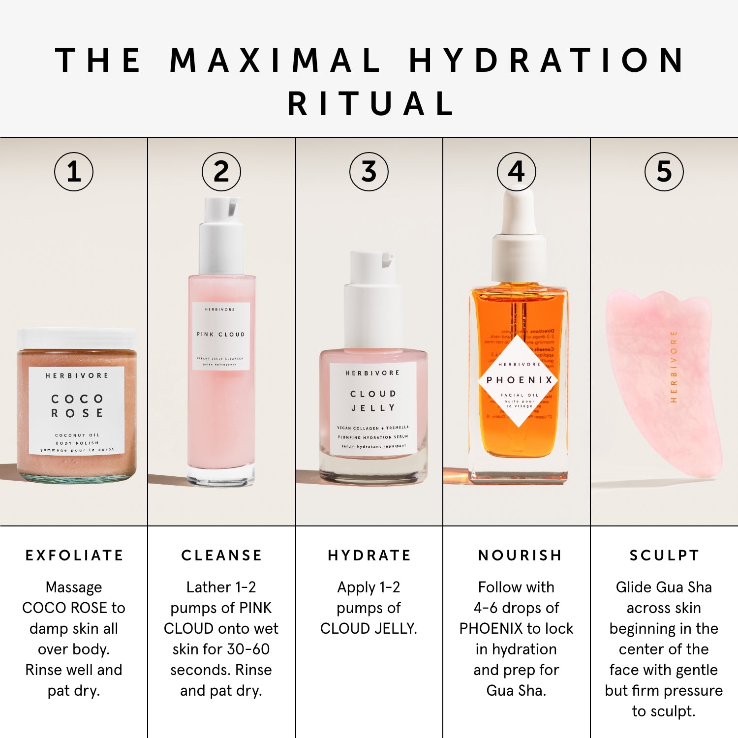 Maximalist Set | Herbivorebotanicalss